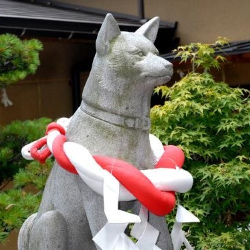 伊奴神社　ぬいぐるみ　犬　イヌ　大神　白柴　紀州犬　202510170003 伊奴神社 ぬいぐるみ 犬 イヌ 大神 白柴 紀州犬 202510170003